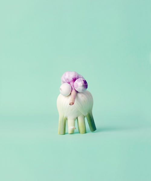 Carl Kleiner