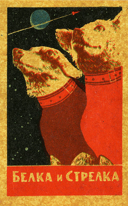 belka-y-strelka.jpg