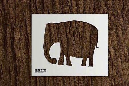 bronx_zoo.jpg