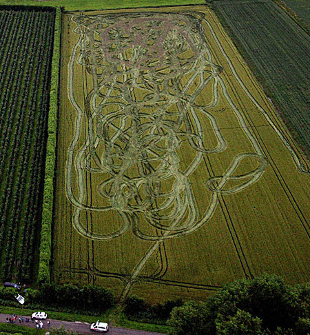 crazycropcircles.jpg