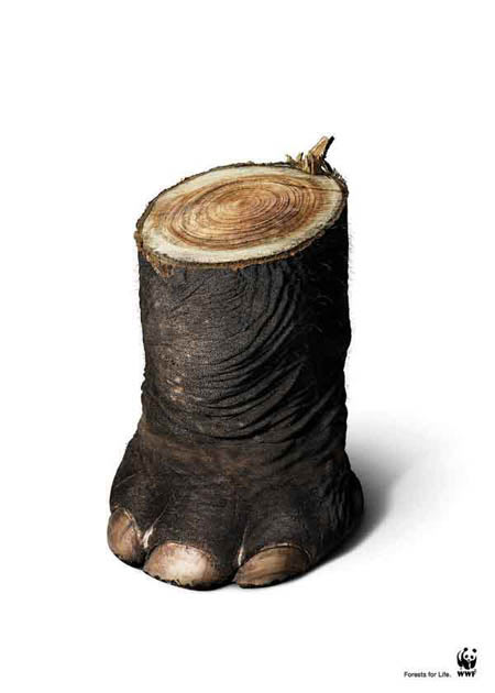 elefante0.jpg