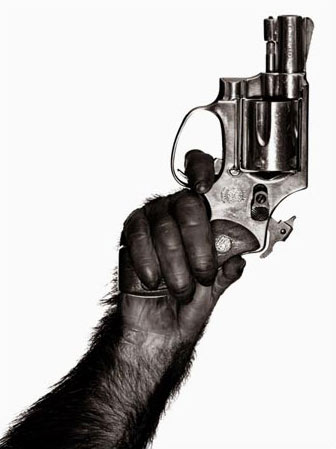 monkey-with-gun.jpg