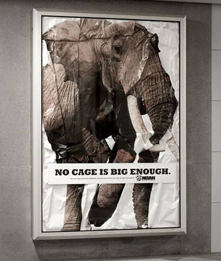 not_big_enough.jpg