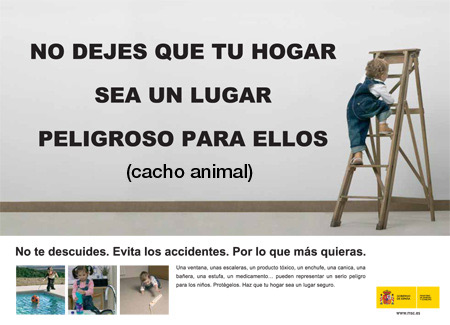 so-burro.jpg