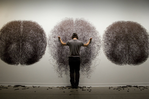 Tony Orrico