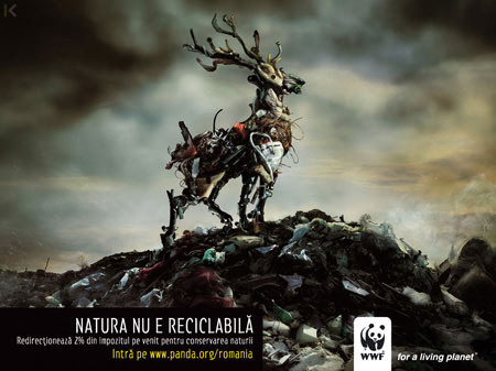 wwf_rumania.jpg