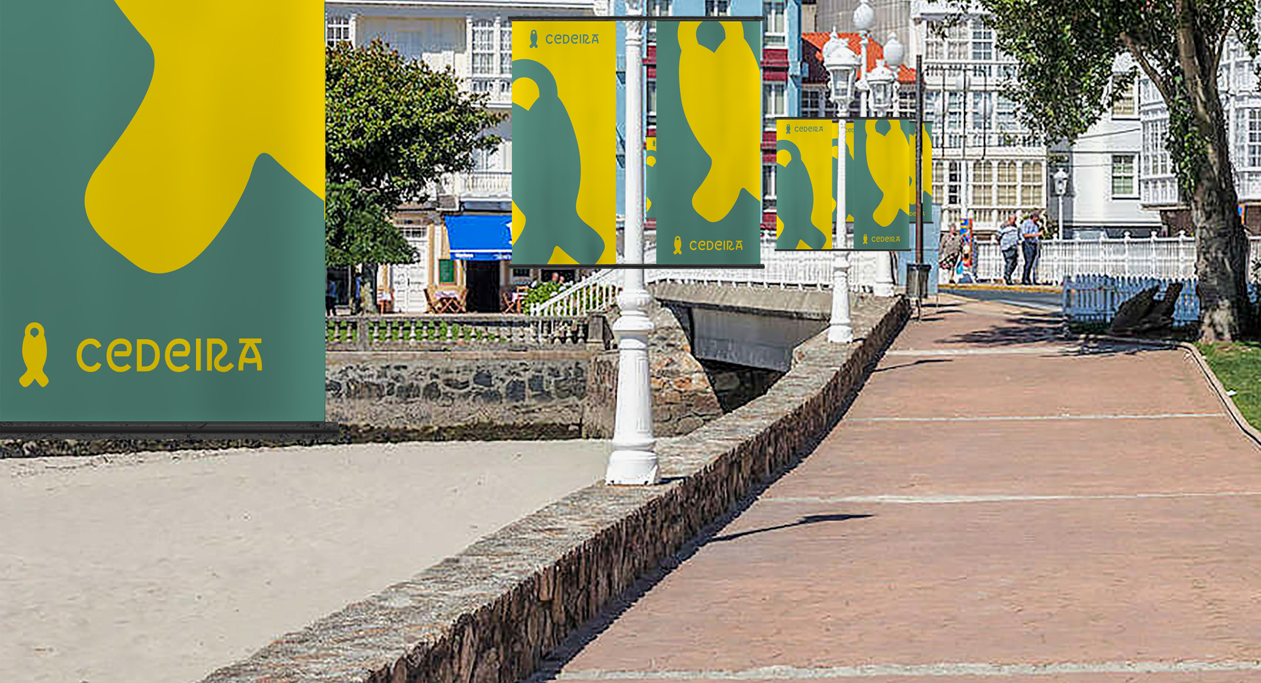 Cedeira