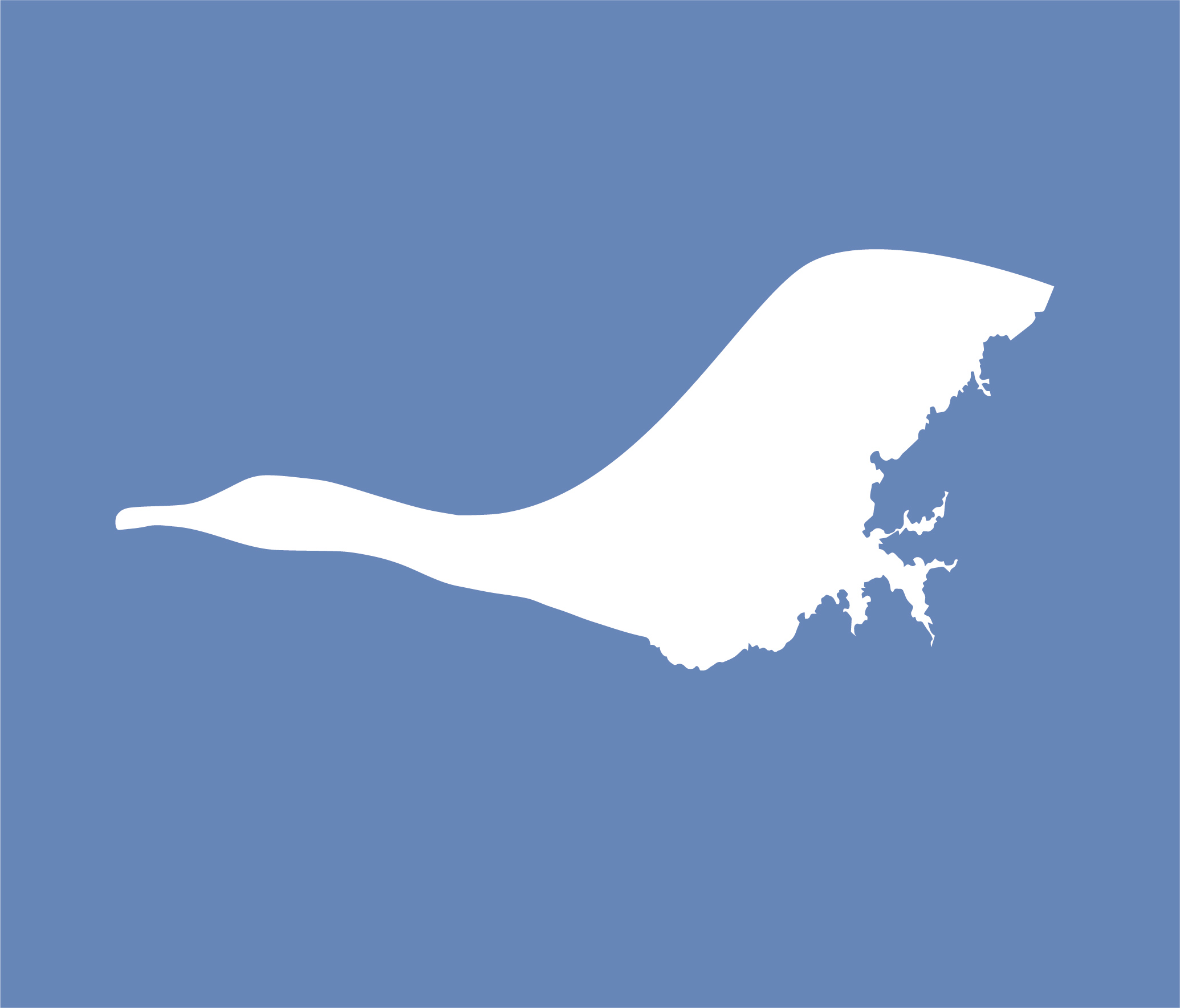 Aves Ártabras